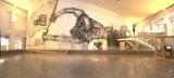 The Art of Peter Schumann (2013)