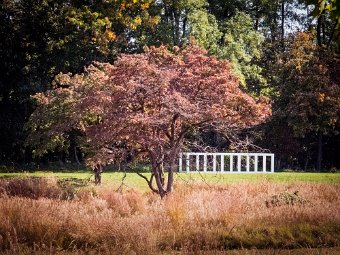 Storm King (7 of 51).jpg